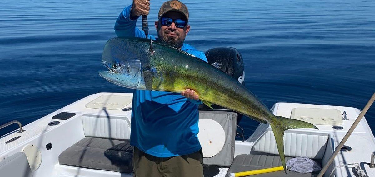 Dorado